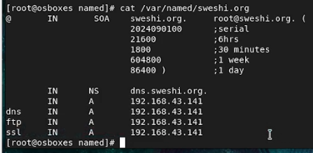 how to create and setup the zone file in var named